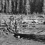 10_redigerad-1